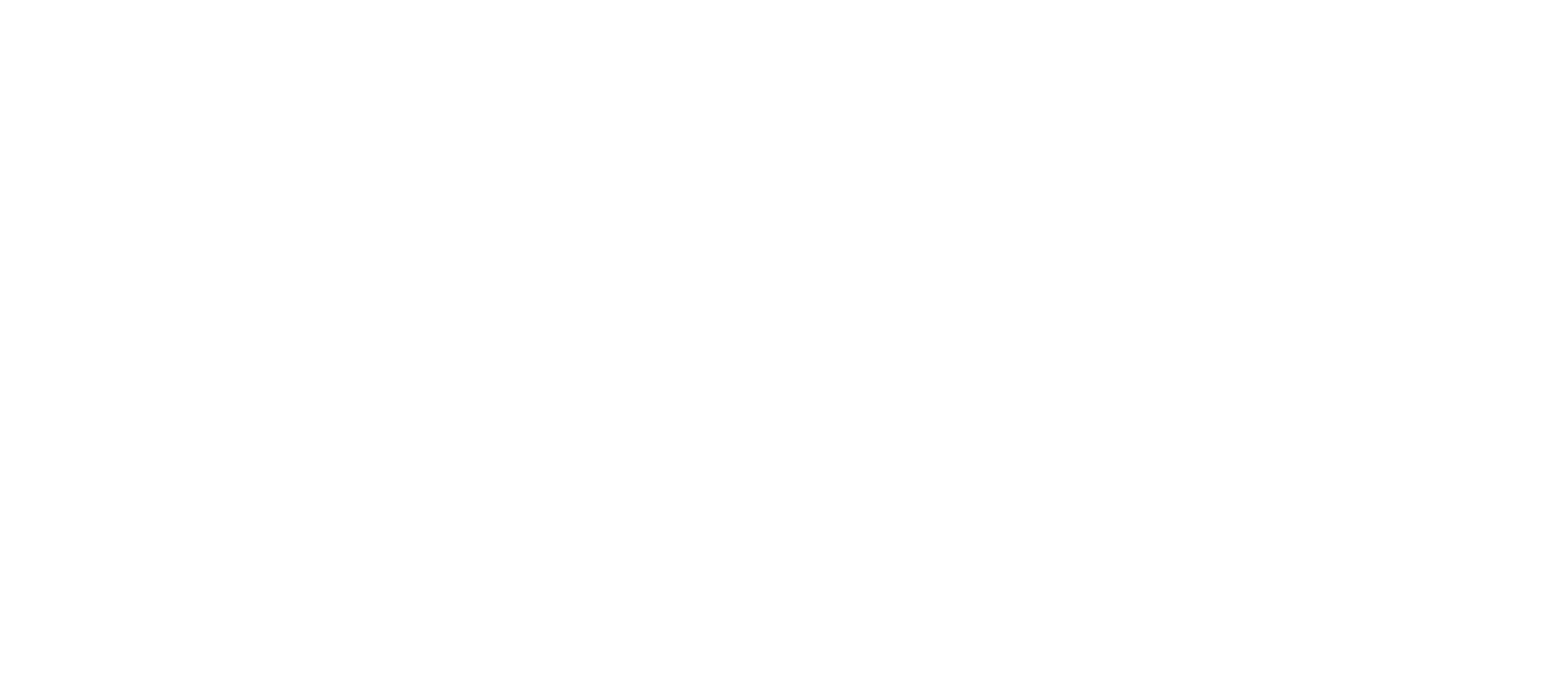 Aix-Marseille Universite