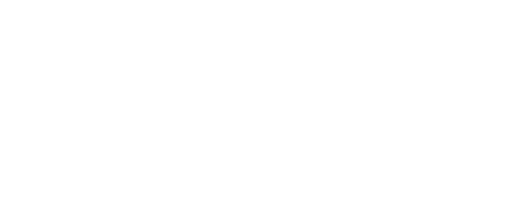 Institut Fresnel