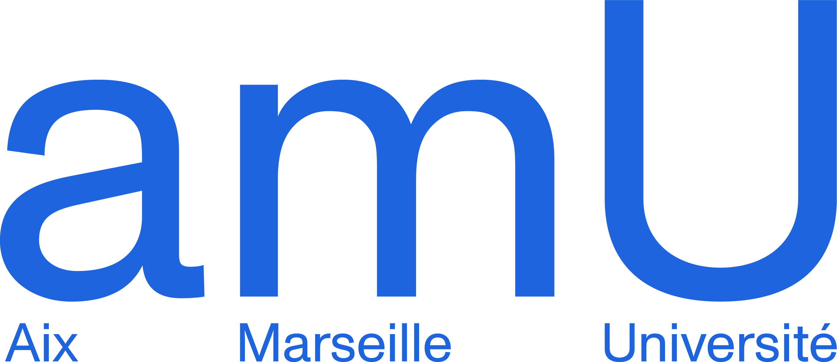 Aix-Marseille Universite