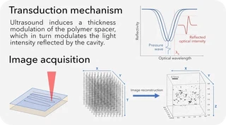 Optical detection of ultrasound with a Fabry-Pérot sensor and the corresponding photoacoustic acquisition geometry.